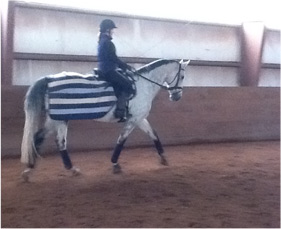 Gretchen Scott Equestrian