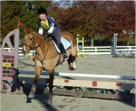 Gretchen Scott Equestrian