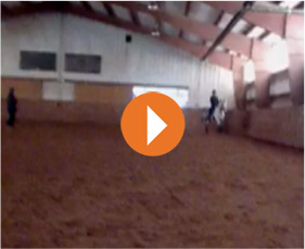 Gretchen Scott Equestrian